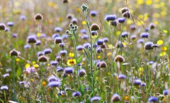 2020年五四青年节5月4日是剪头发理发的好日子吗？