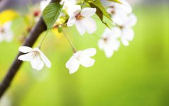 2020年五四青年节是法定节假日吗会不会放假？