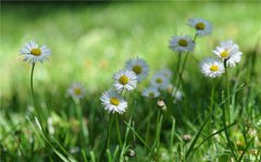 2020年五四青年节5月4日出生的宝宝性格好不好，命运如何？