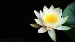 2020年农历四月二十九日子是吉日吗，今天日子好不好？