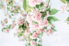 十二生肖生于五月分别什么命？宜配什么生肖？