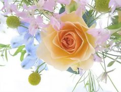 2020年农历五月初二是黄道吉日吗,今天有何宜忌要注意？