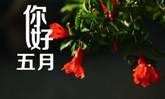 2020年农历五月份好日子是哪几天？