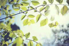 2020年农历五月二十五日是签订合约的好日子吗？