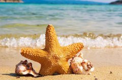 2020年农历四月二十一出生是什么星座,性格开朗乐观吗?