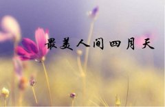 2020农历四月出生要几月怀孕，四月哪天出生比较好？