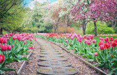 农历四月是什么属相,2020年农历四月出生孩子命好吗?