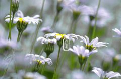 立夏是怎么计算推出来的?立夏一般在什么时候?