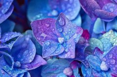 2020年农历四月十八日子好不好,今天是黄道吉日吗？