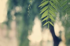 2020年农历五月二十适合理发吗今天剃头好不好？