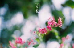 立夏是什么意思？立夏节气如何养生？