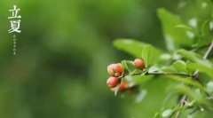 2020年立夏后一天结婚嫁娶好吗,结婚要注意哪些禁忌事项？