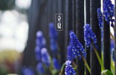 2020年立夏喜神方位查询，今日吉时有哪些？