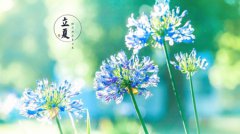 2020年立夏出生的猪宝宝命运好吗,立夏出生大富大贵吗？