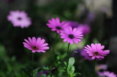 2020年立夏（5月6日）日子适合理发吗,立夏有什么习俗？