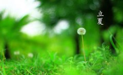 2020年立夏节气是什么时候，立夏前后结婚好不好？