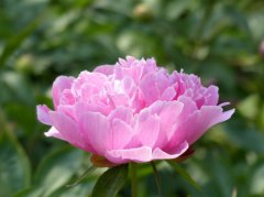 2020年5月6日今天立夏日子是出殡吉日吗,立夏出殡吉利吗？