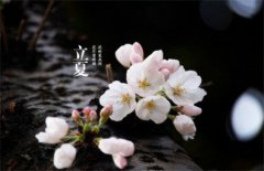 2020年农历四月初二立夏可以祭祖吗,立夏忌讳什么？