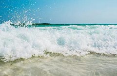 2020年农历四月十四出生是金牛座吗,属猪金牛座性格解析！