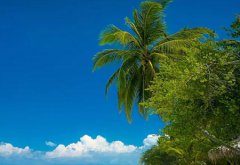 2020年农历四月初二立夏出生的女孩好吗,旺夫命吗？