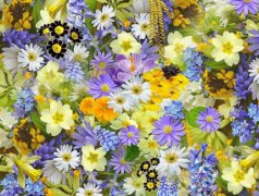 2020年今天农历四月十五出殡安葬好吗,今天卦象怎么样？