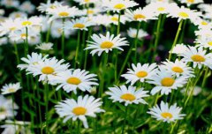 2020年农历五月十七是什么日子出远门好不好？