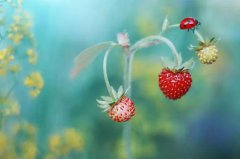 2020年阴历四月十六今天上坟祭祖好吗,祭祖有何讲究？