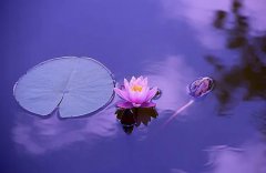 立夏出生的人命运怎么样,立夏出生的人很有福气吗？