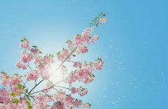 2020年农历四月初十日子是黄道吉日吗,四月初十是土神诞吗？