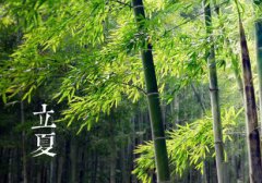 2020年农历四月初二立夏节气黄历宜忌，适合烧香拜佛吗？