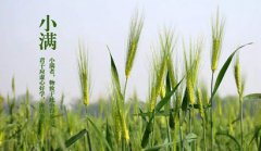 2020年农历四月十七小满节气是几号,适合出远门吗?