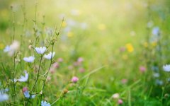 2020年农历四月十六老黄历日子好不好适合出远门吗?