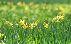 2020年农历四月二十四是阳历几号适合出远门吗?