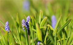 2020己亥年农历四月十一黄历适合动土装修吗？