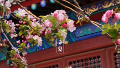 2020年农历四月初二日立夏节气是理发的黄道吉日吗？