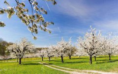 2020己亥年农历四月初十老黄历宜忌适合动土装修吗？