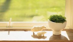 2020年五一劳动节送什么礼物礼品较好较合适？