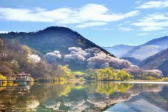 2020年阴历四月初四今天是修坟迁坟的黄道吉日吗？