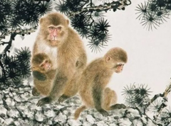 属相运程_大师解说未来66天此4生肖福运萦绕(财运)