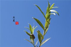 2020年阴历四月初二立夏日子可以修坟吗,立夏有何禁忌?