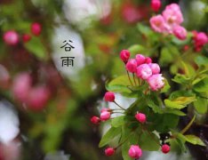 2020年4月20日谷雨时辰吉凶查询,关于谷雨节气史料记载！