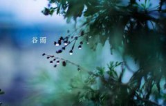 2020年农历三月十六是什么日子谷雨节气吗,谷雨喝茶有何禁忌？