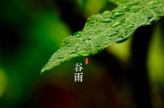 2020年农历三月十六谷雨可以出殡吗,谷雨吃什么养生？