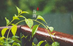 谷雨还要几天?谷雨节气要注意什么?