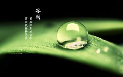 2020年谷雨日子好不好?谷雨节气吃什么?