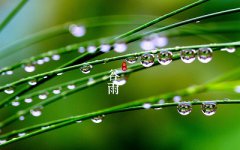 2020年农历三月十六谷雨节气出生的男孩子命理解析!