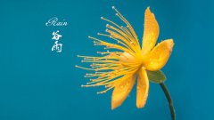 2020年谷雨可以登记结婚证吗?谷雨吉时是哪几个时辰?