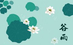 谷雨节气有什么风俗习俗,2020年谷雨要做什么?