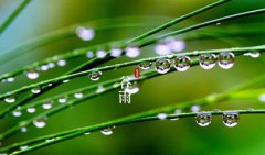 关于谷雨的风俗有哪些故事和传说，谷雨三候是什么？