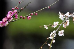 三月三喜神方位在哪？不同时辰的喜神方位一览表！